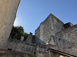 IMG_6653