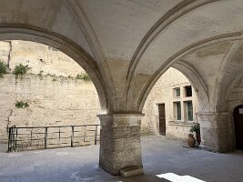 IMG_6655