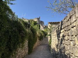 IMG_6659