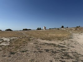 IMG_6662