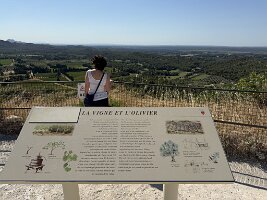 IMG_6664