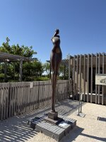 IMG_6672