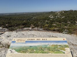 IMG_6681
