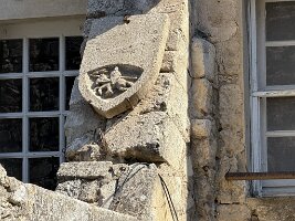 IMG_6693