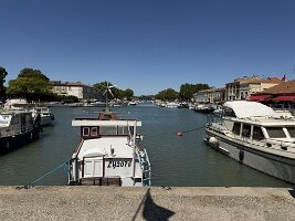 IMG_6696