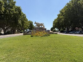 IMG_6698