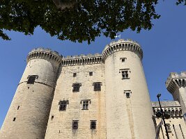 IMG_6704