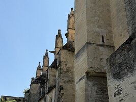 IMG_6706