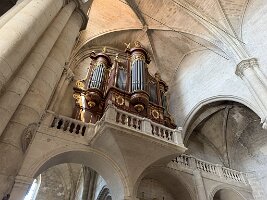 IMG_6708