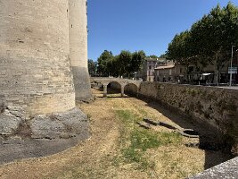 IMG_6712