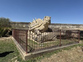 IMG_6713