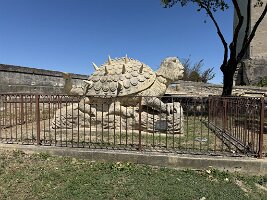 IMG_6714