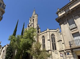 IMG_6724