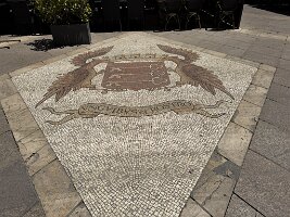 IMG_6729