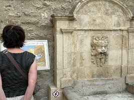 IMG_6758