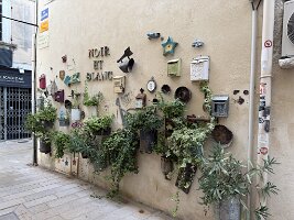 IMG_6761