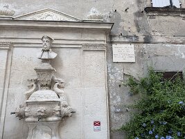 IMG_6763