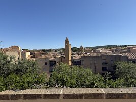 IMG_6773