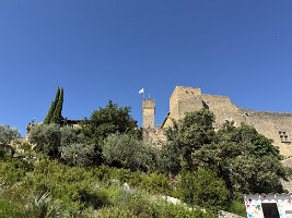 IMG_6780