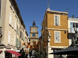 IMG_6787