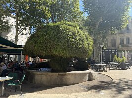 IMG_6793