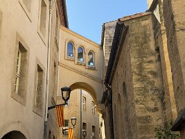IMG_6795