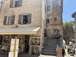 IMG_6800