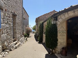 IMG_6803