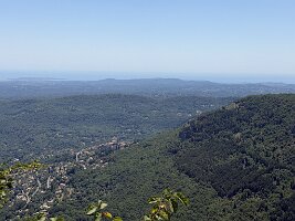 IMG_6805