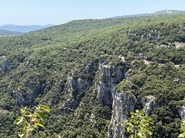 IMG_6806