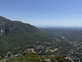 IMG_6808
