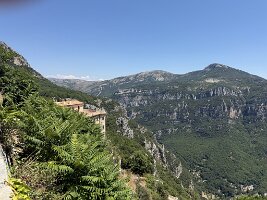 IMG_6810