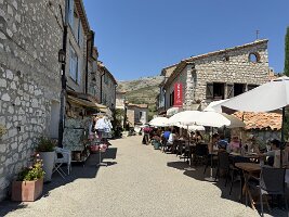 IMG_6812