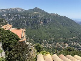 IMG_6813