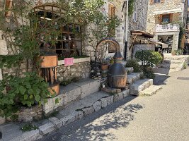 IMG_6814