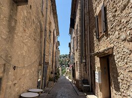 IMG_6821