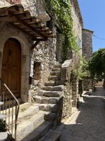 IMG_6831