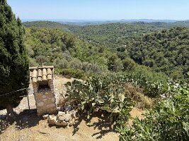 IMG_6834