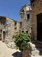 IMG_6840