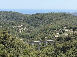 IMG_6848