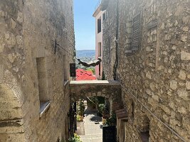 IMG_6868