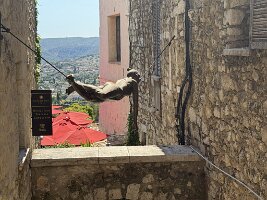IMG_6869