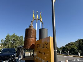 IMG_6880