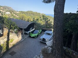 IMG_6881