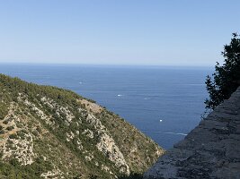 IMG_6885