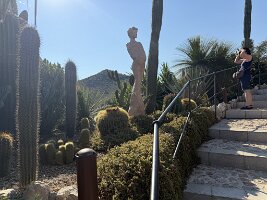 IMG_6895