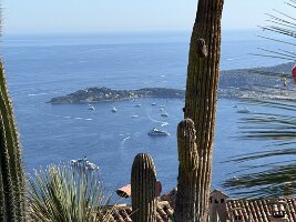 IMG_6896