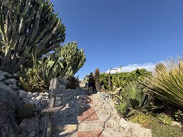 IMG_6898