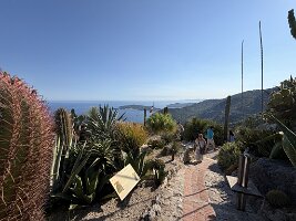 IMG_6899