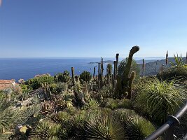 IMG_6900